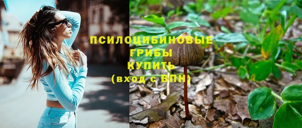 твердый Мурманск