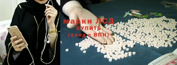 твердый Мурманск